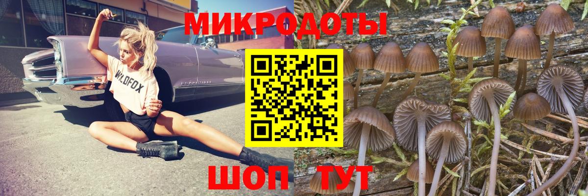 Псилоцибиновые грибы мухоморы Бугуруслан